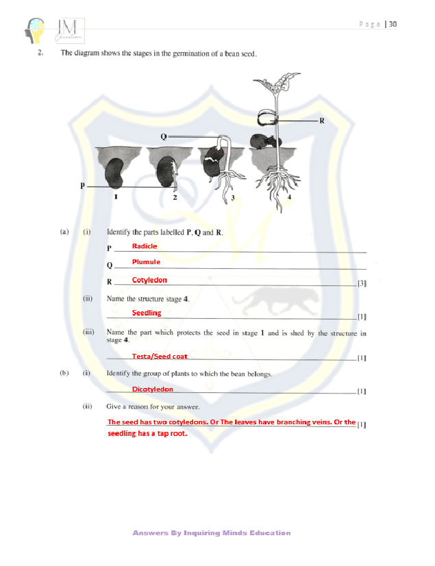 Answer Key: BJC General Science (2010-2023 papers 1&2)
