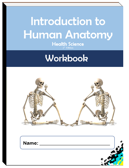 Introduction to Human Anatomy WORKBOOK (HEALTH SCIENCE)