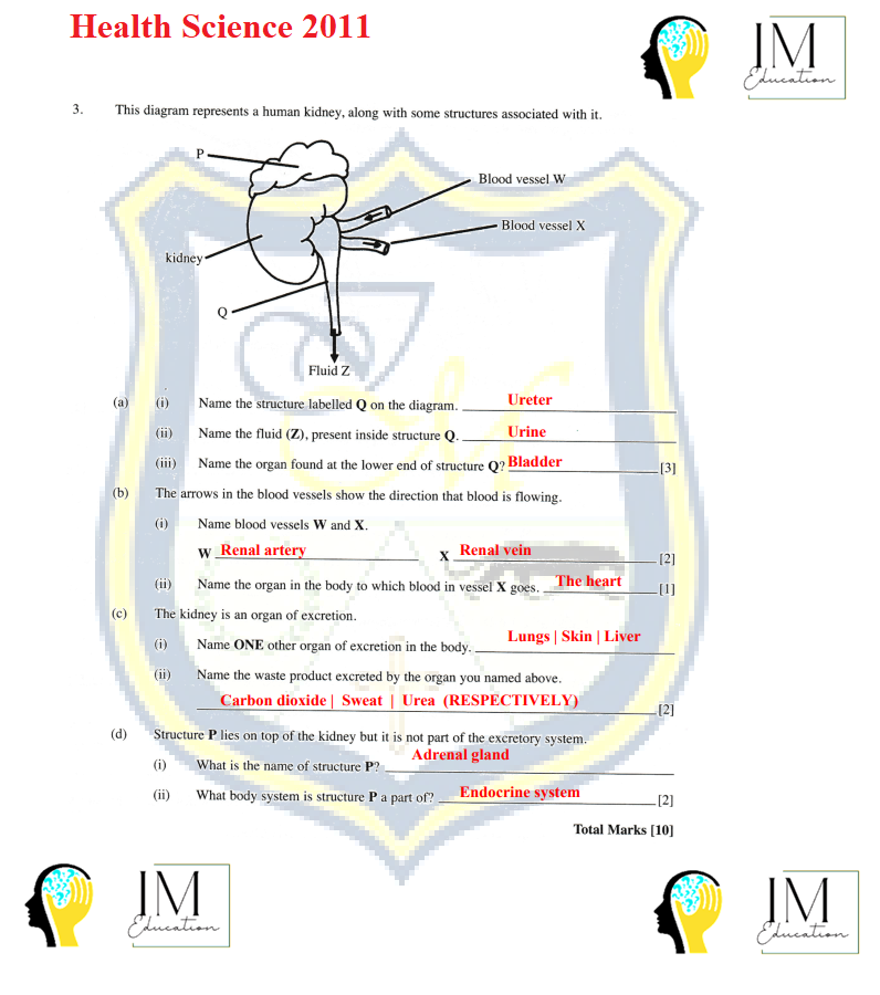 Health Science ANSWER KEY PDF (Downloadable Version)