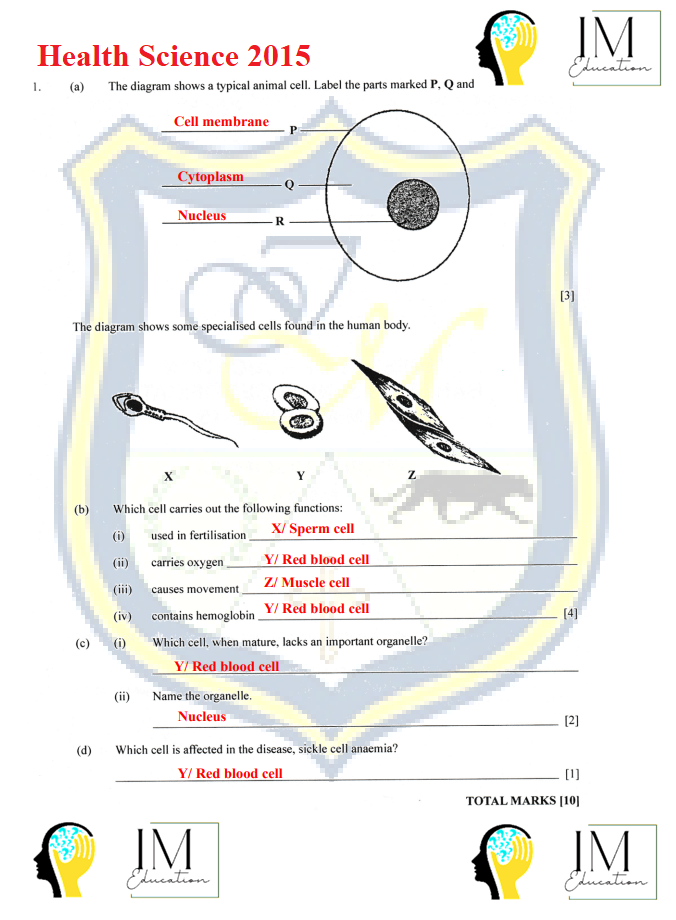 Health Science ANSWER KEY PDF (Downloadable Version)