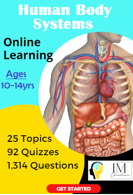 Introduction to Human Anatomy (Ages 10-14)