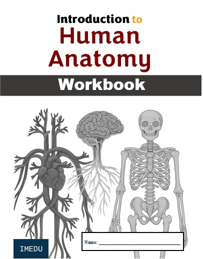 Introduction to Human Anatomy WORKBOOK (HEALTH SCIENCE)