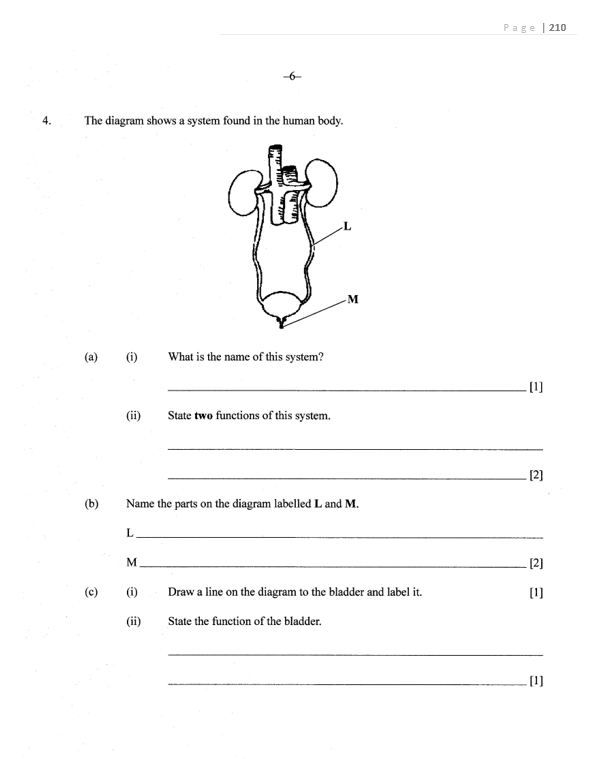 BGCSE Biology Workbook Papers (1& 2) ONLY