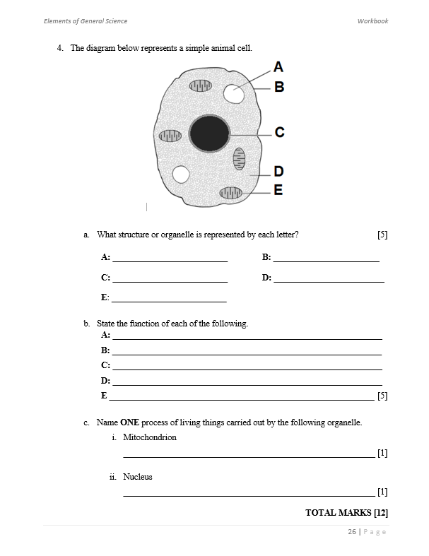 Elements of General Science Workbook