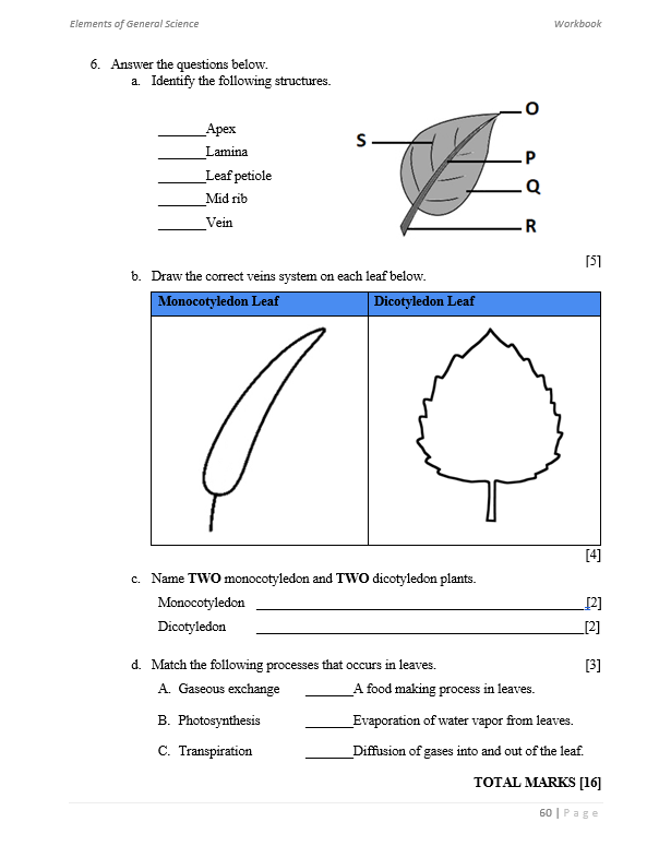 Elements of General Science Workbook