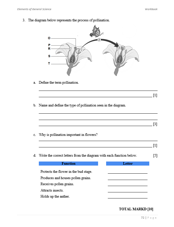 Elements of General Science Workbook