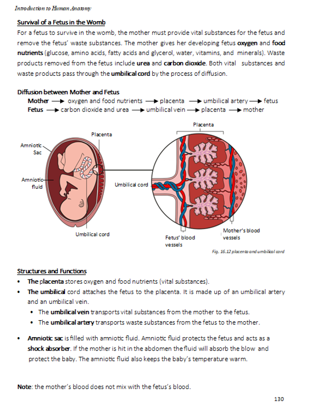 Introduction to Human Anatomy TEXTBOOK (HEALTH SCIENCE)