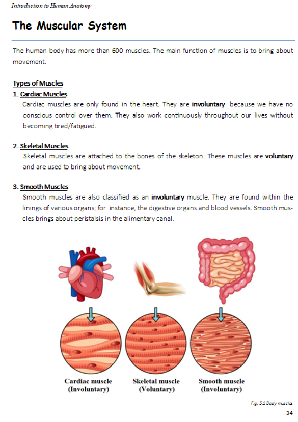 Introduction to Human Anatomy TEXTBOOK (HEALTH SCIENCE)