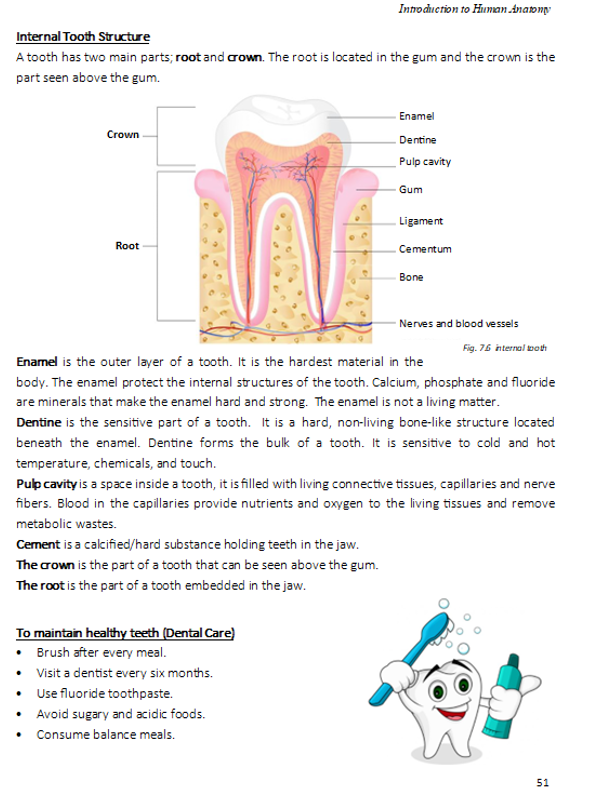 Introduction to Human Anatomy TEXTBOOK (HEALTH SCIENCE)