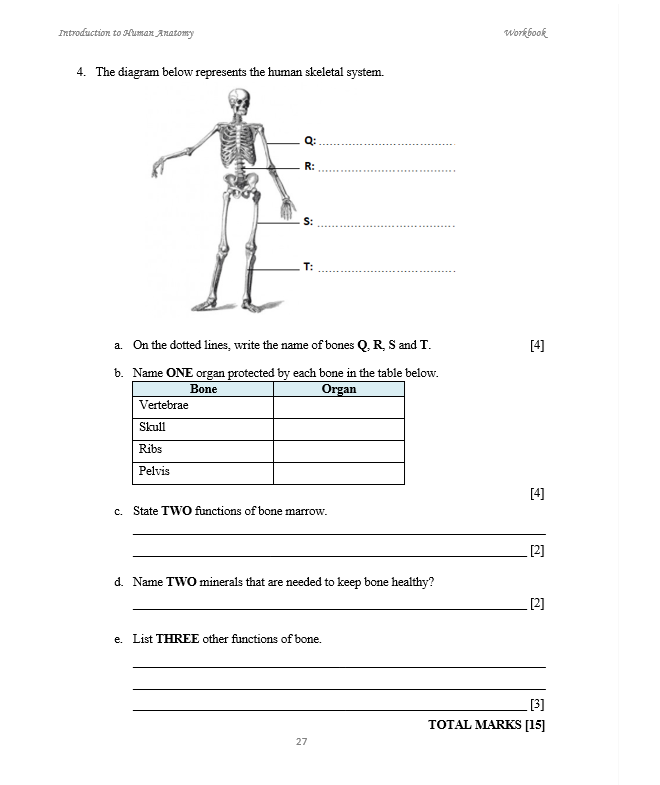 Introduction to Human Anatomy WORKBOOK (HEALTH SCIENCE)