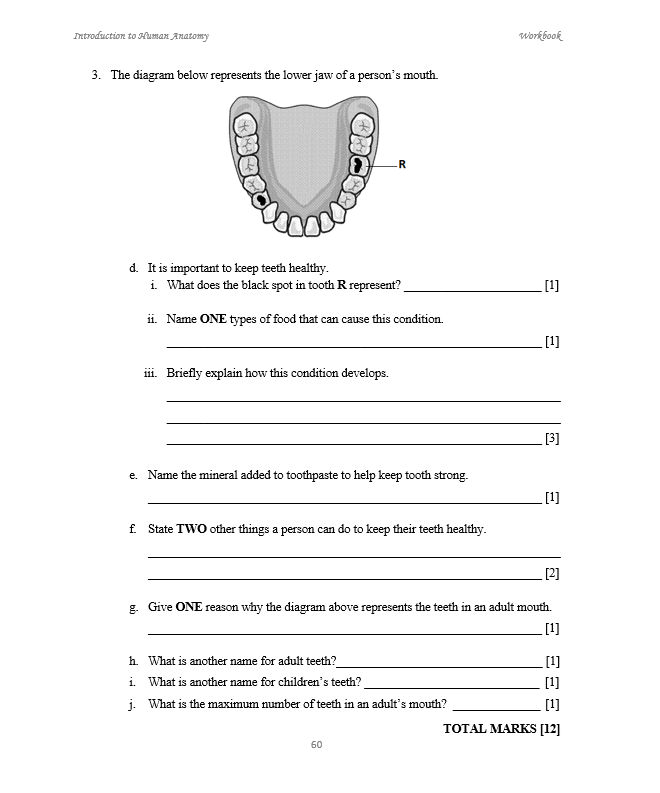 Introduction to Human Anatomy WORKBOOK (HEALTH SCIENCE)