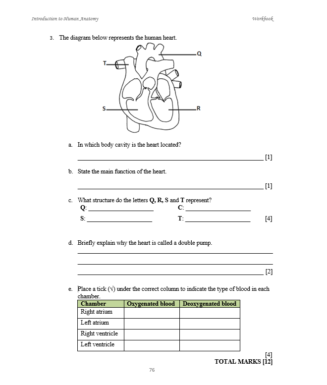 Introduction to Human Anatomy WORKBOOK (HEALTH SCIENCE)