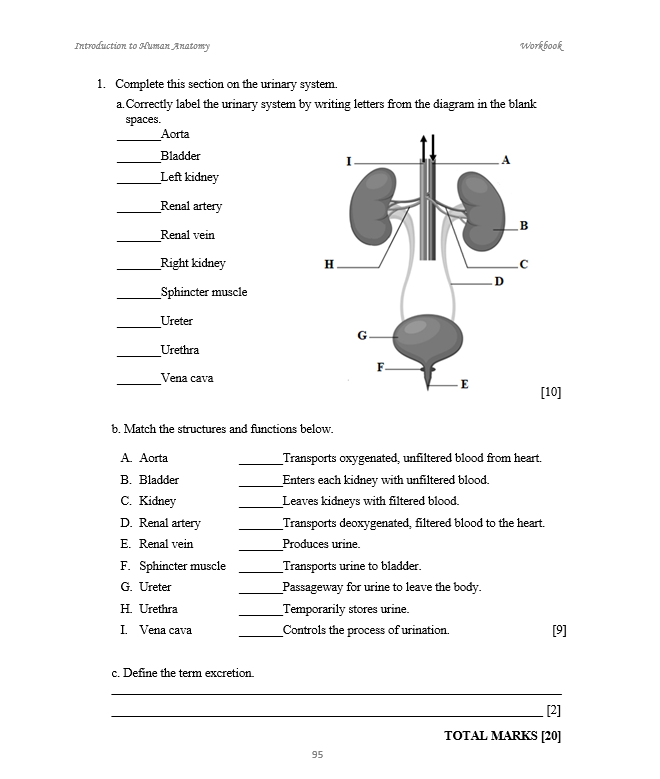 Introduction to Human Anatomy WORKBOOK (HEALTH SCIENCE)