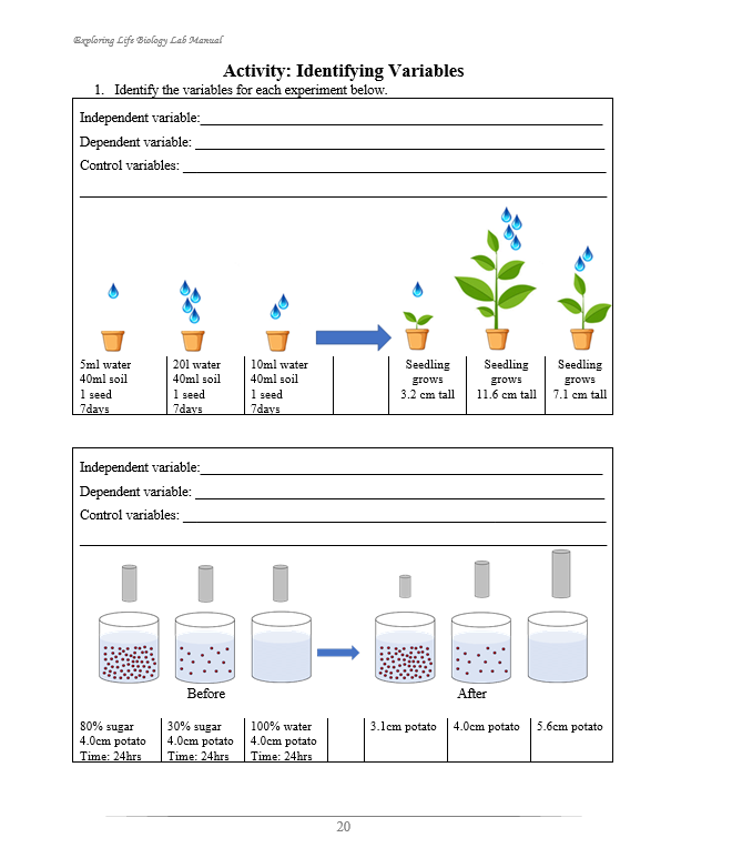 Exploring Life Lab Manual (BIOLOGY)