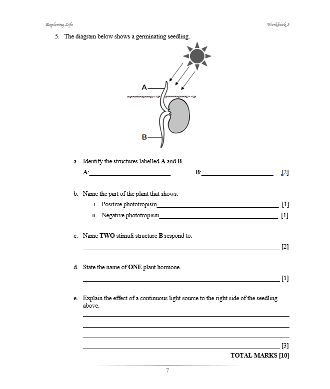 Exploring Life Workbook 3 (BIOLOGY)