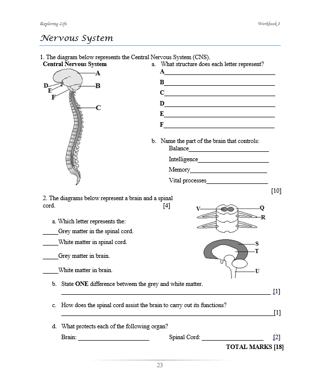 Exploring Life Workbook 3 (BIOLOGY)