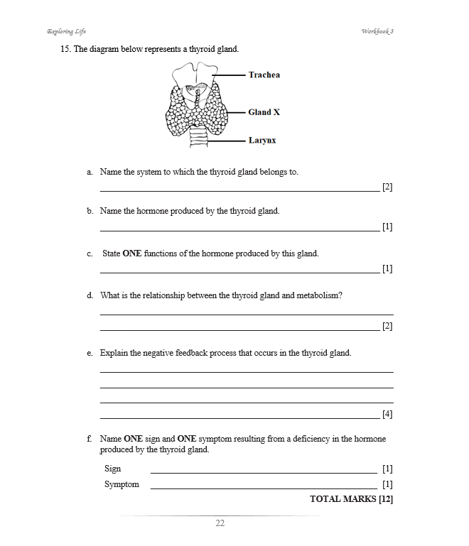 Exploring Life Workbook 3 (BIOLOGY)