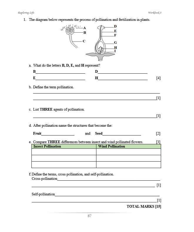 Exploring Life Workbook 3 (BIOLOGY)