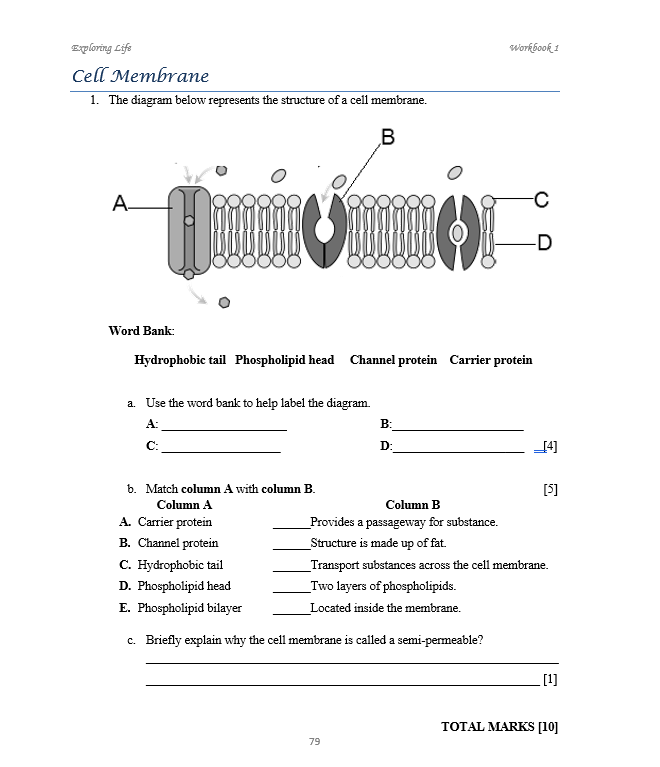 Exploring Life Workbook 1 (BIOLOGY)