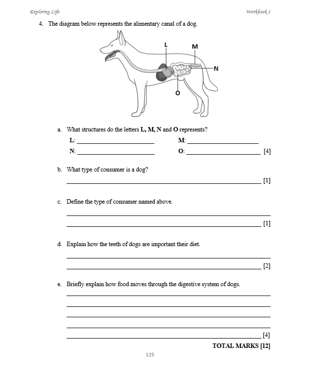 Exploring Life Workbook 1 (BIOLOGY)